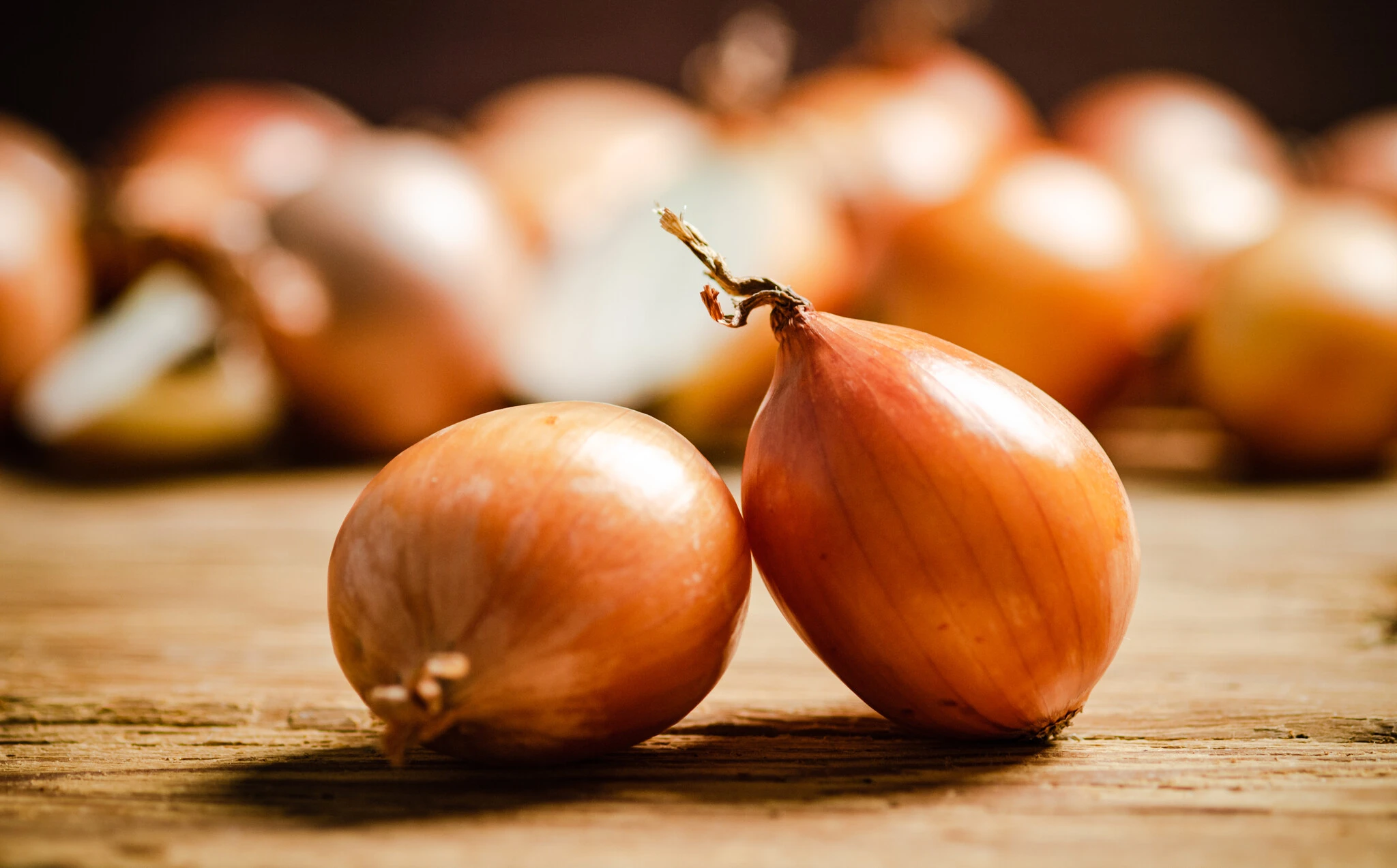 Alimentación